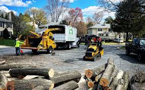  Gibsonia, PA Tree Services Pros