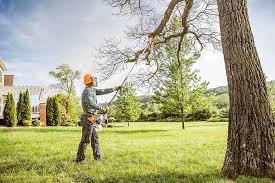 Best Commercial Tree Services  in Gibsonia, PA