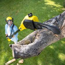 Best Lawn Mowing  in Gibsonia, PA