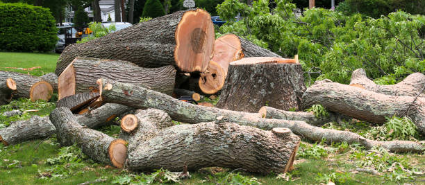 Best Emergency Tree Removal  in Gibsonia, PA